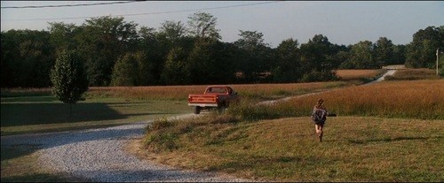 Kara Yılan İnliyor Fotoğrafı