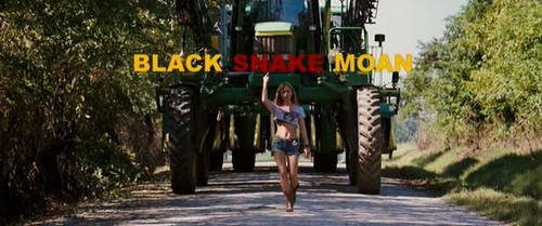 Kara Yılan İnliyor Fotoğrafı