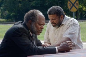 Kara Yılan İnliyor Fotoğrafı