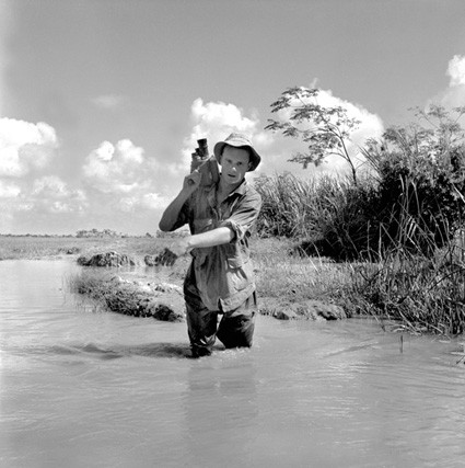 The 317th Platoon Fotoğrafı