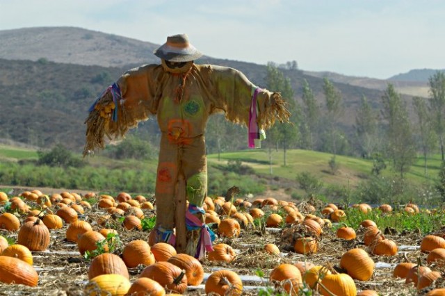 Korkuluk fotoğrafı