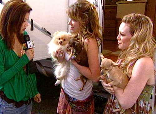 Material Girls Fotoğrafı