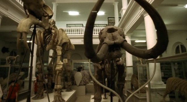 Mamut fotoğrafı