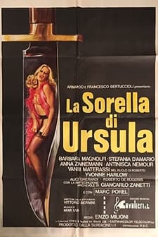 La Sorella Di Ursula (1978) afişi