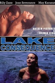 Bir Adam iki Kadın (1993) afişi