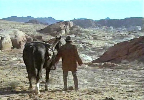 The Stalking Moon Fotoğrafı