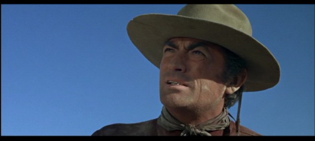 The Stalking Moon Fotoğrafı