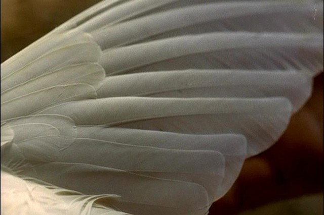 To The Left Of The Father Fotoğrafı