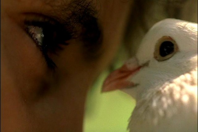 To The Left Of The Father Fotoğrafı