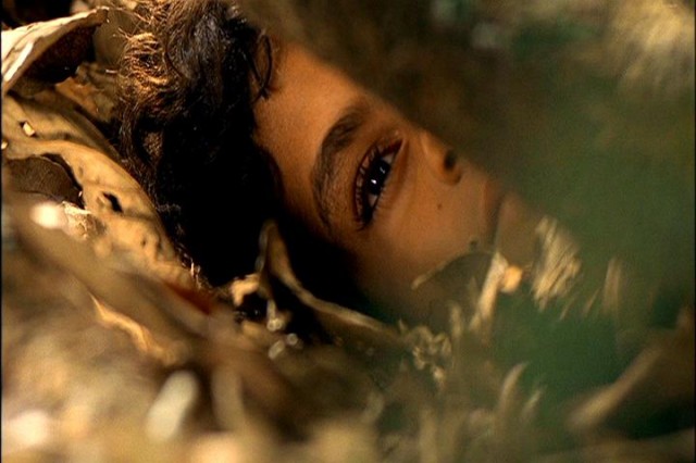 To The Left Of The Father Fotoğrafı