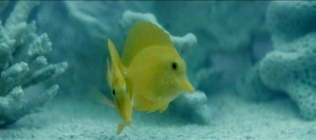 Yaşamın Kıyısında Fotoğrafı