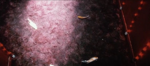 Yaşamın Kıyısında Fotoğrafı