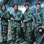 Yaban Kazları Fotoğrafı