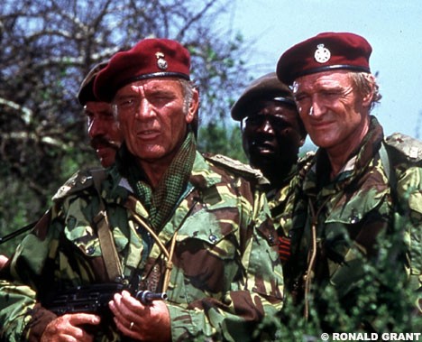 Yaban Kazları fotoğrafı