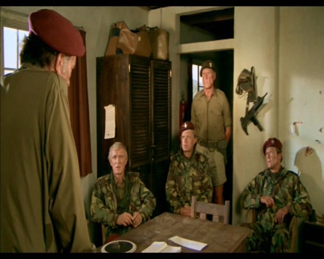 Yaban Kazları fotoğrafı