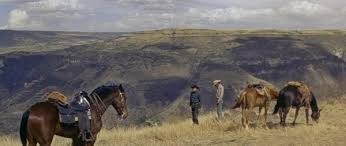 The Bravados Fotoğrafı