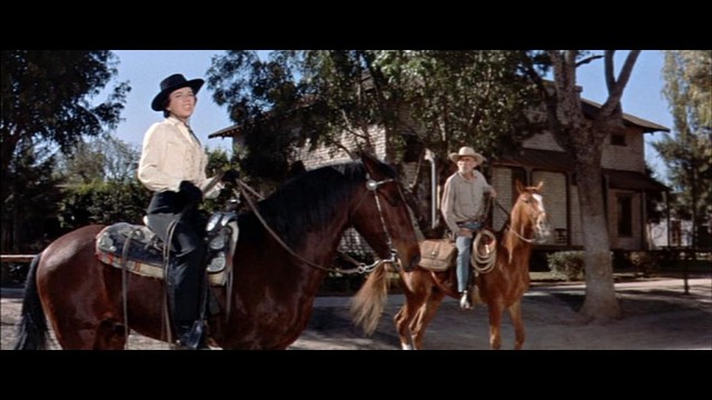 The Bravados fotoğrafı