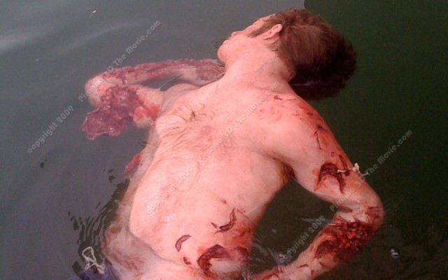 Pirana 3D fotoğrafı