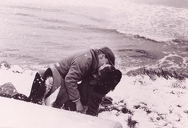 The Bay Boy fotoğrafı