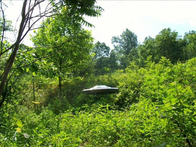 Evimde Uzaylı Var Fotoğrafı