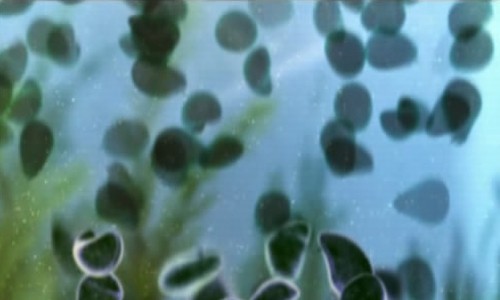 Kıyametin 7 işareti fotoğrafı