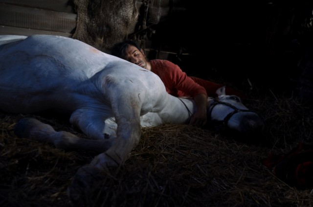 Lucky Luke Fotoğrafı