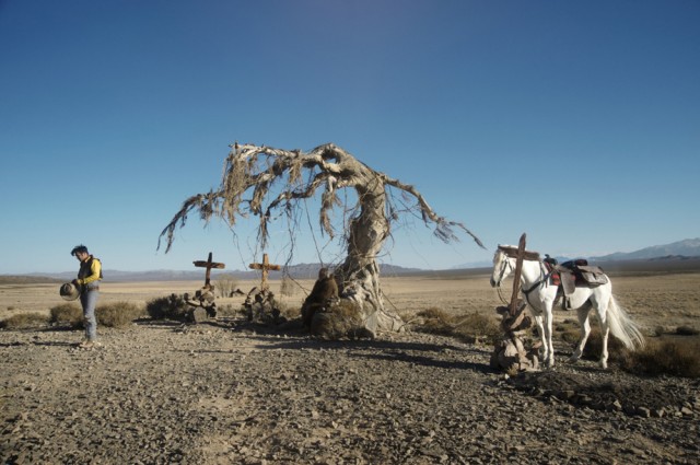 Lucky Luke Fotoğrafı