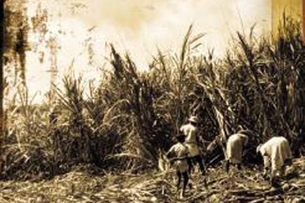 Les 16 De Basse-pointe fotoğrafı