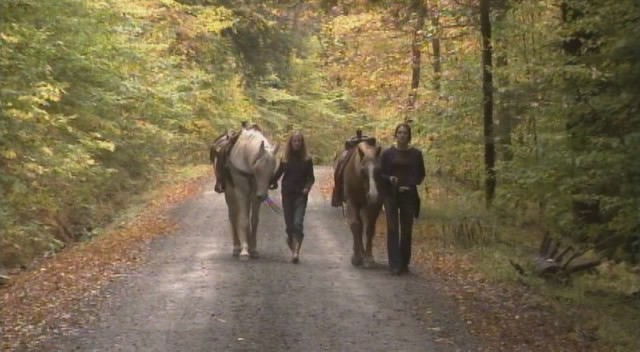 Windcroft Fotoğrafı