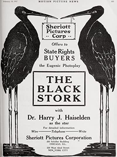 The Black Stork (1917) afişi
