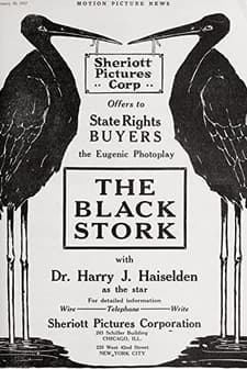 The Black Stork (1917) afişi