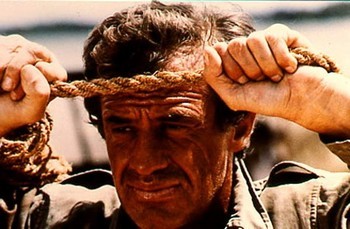 Profesyonel fotoğrafı