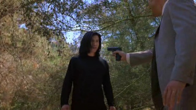 Savaşçının Yumruğu fotoğrafı