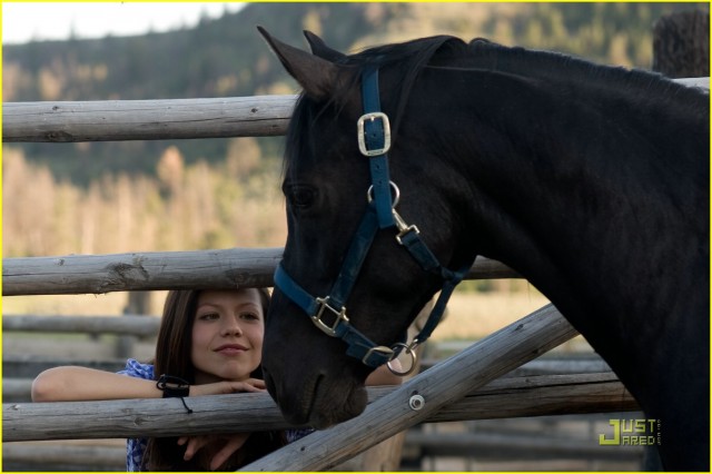 Flicka 2 Fotoğrafı