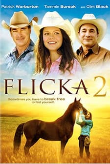 Flicka 2 (2010) afişi