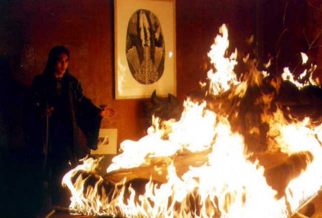 Gingko Bed Fotoğrafı