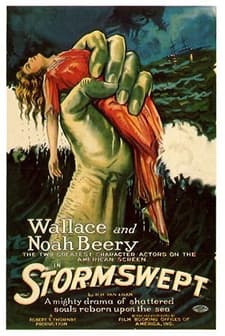 Stormswept (1923) afişi