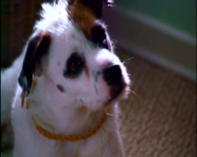 Hadi Öp Beni Fotoğrafı