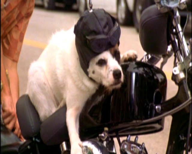 Hadi Öp Beni Fotoğrafı