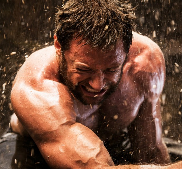 Wolverine Fotoğrafı