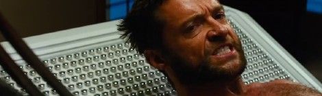 Wolverine Fotoğrafı