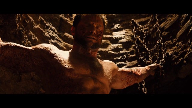 Wolverine Fotoğrafı