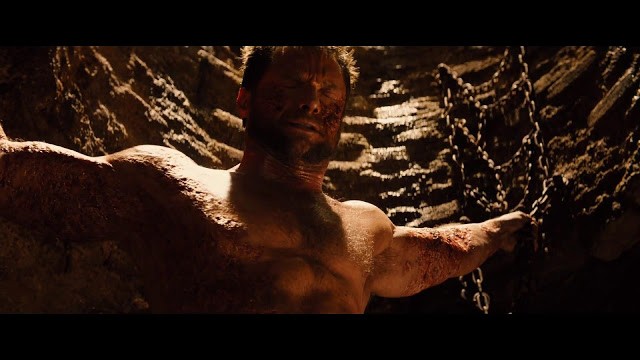 Wolverine Fotoğrafı