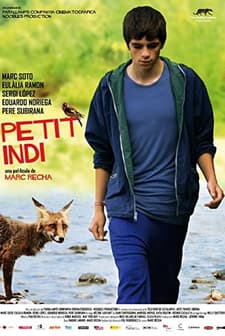 Petit indi (2009) afişi