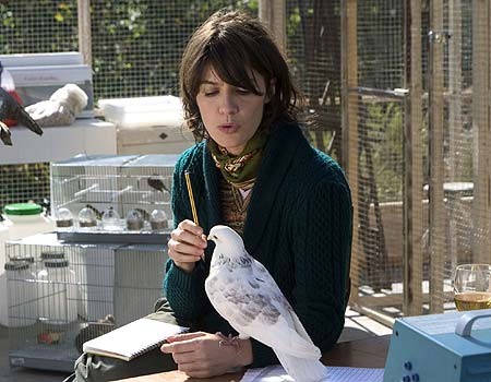 The Education Of Fairies fotoğrafı