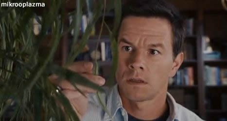 Mistik Olay Fotoğrafı