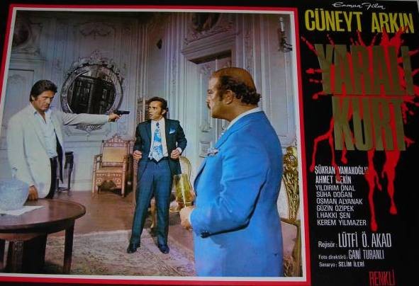 Yaralı Kurt fotoğrafı