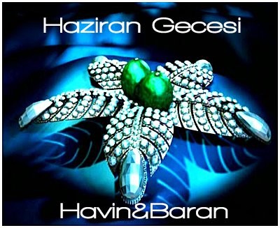 Haziran Gecesi Fotoğrafı