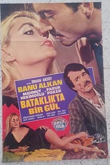 Bataklıkta Bir Gül (1983) afişi