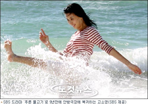 Blue Fish Fotoğrafı